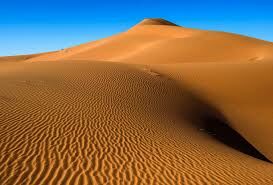Крупнейшая жаркая пустыня на Земле — это...