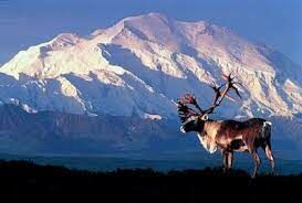 Двуглавая гора на юге центральной части Аляски, высочайшая гора Северной Америки. Это...
