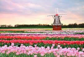  Знаменитый парк тюльпанов в Амстердаме называется...
