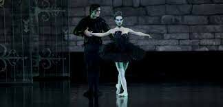   Как зовут черного лебедя в известной балетной постановке Петра Ильича Чайковского «Лебединое озеро»? 
