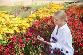 Тест для любителей прекрасного: узнаете садовый цветок по фотографии и описанию?