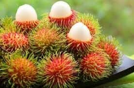 Наличие волосков на этом фрукте нашло свое отражение в малайском названии, переводящимся на русский язык как «волосы». 