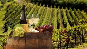   Как называют лучшие вина, которые вырабатываются в определённых районах и очень долго сохраняют вкус и аромат?